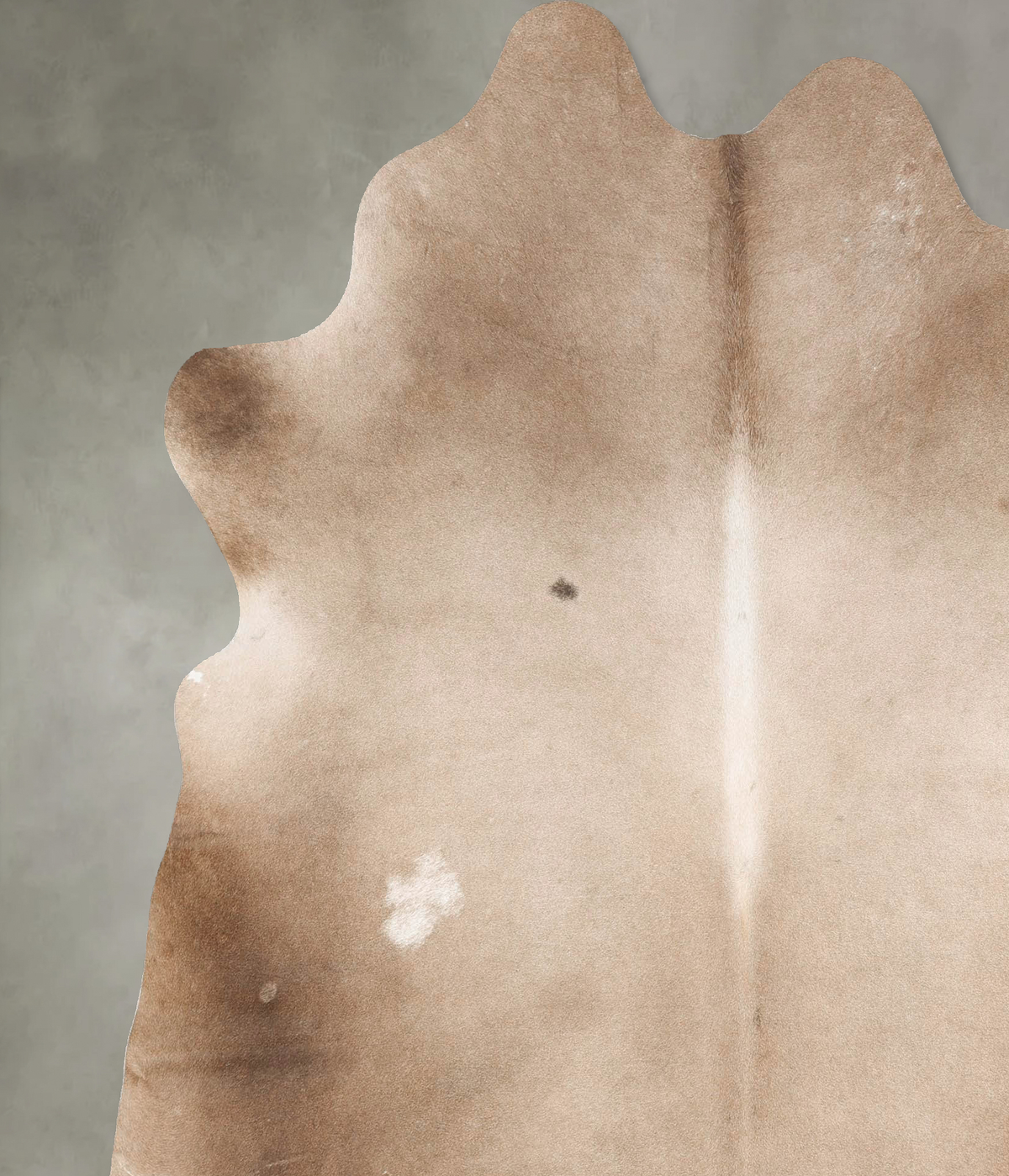 Taupe X-Large Brazilian Cowhide Rug 7'3"H x 6'5"W #B28330 by Hudson Hides