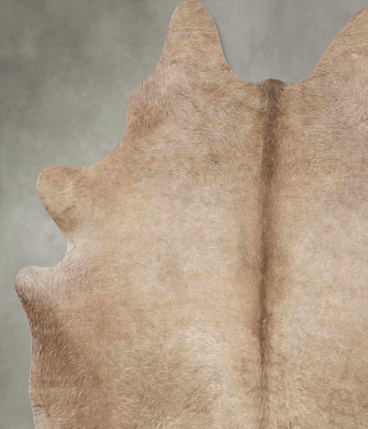 Taupe X-Large Brazilian Cowhide Rug 7'7"H x 6'3"W #B28331 by Hudson Hides