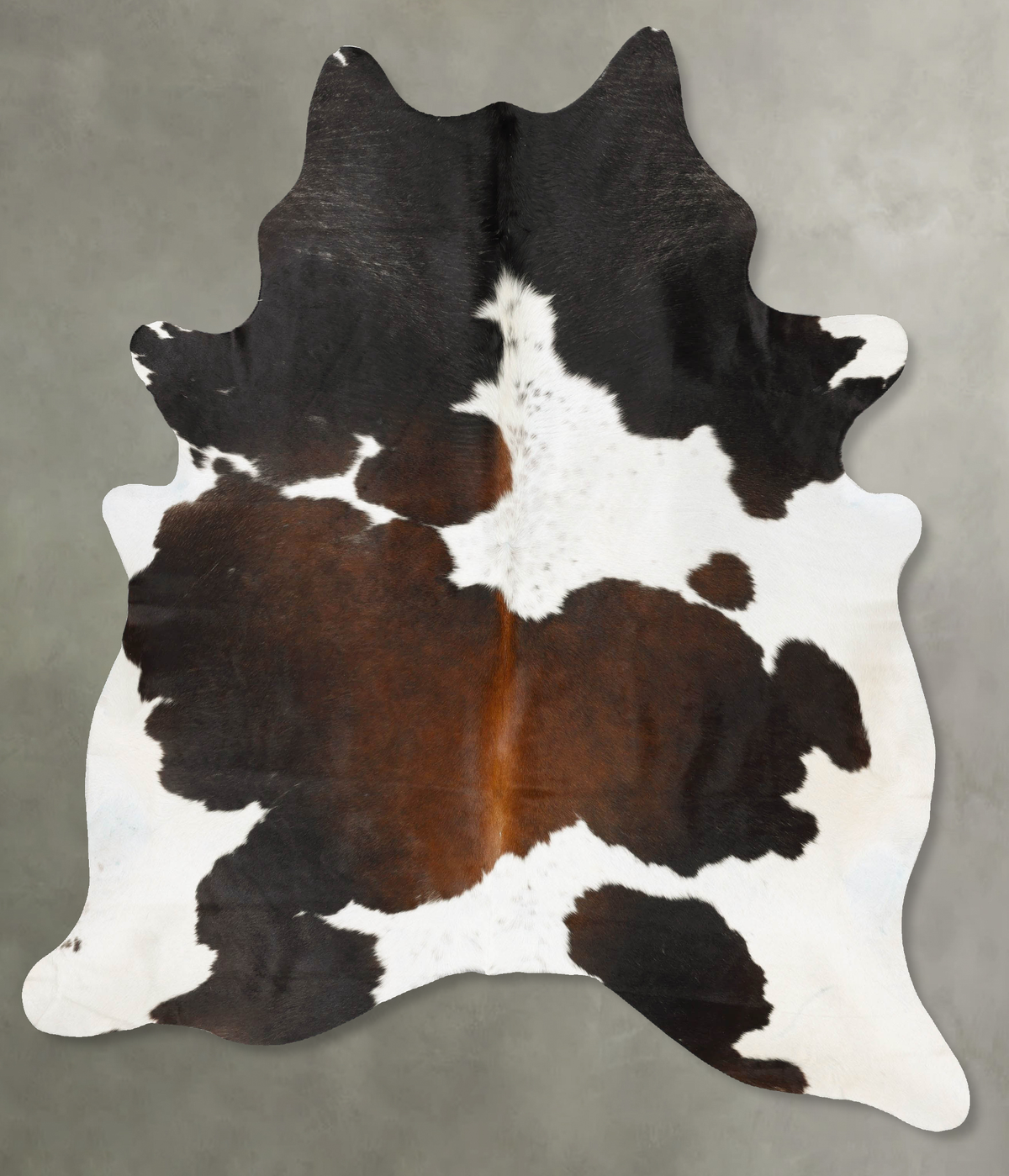 Chocolate and White XX-Large Brazilian Cowhide #B28346