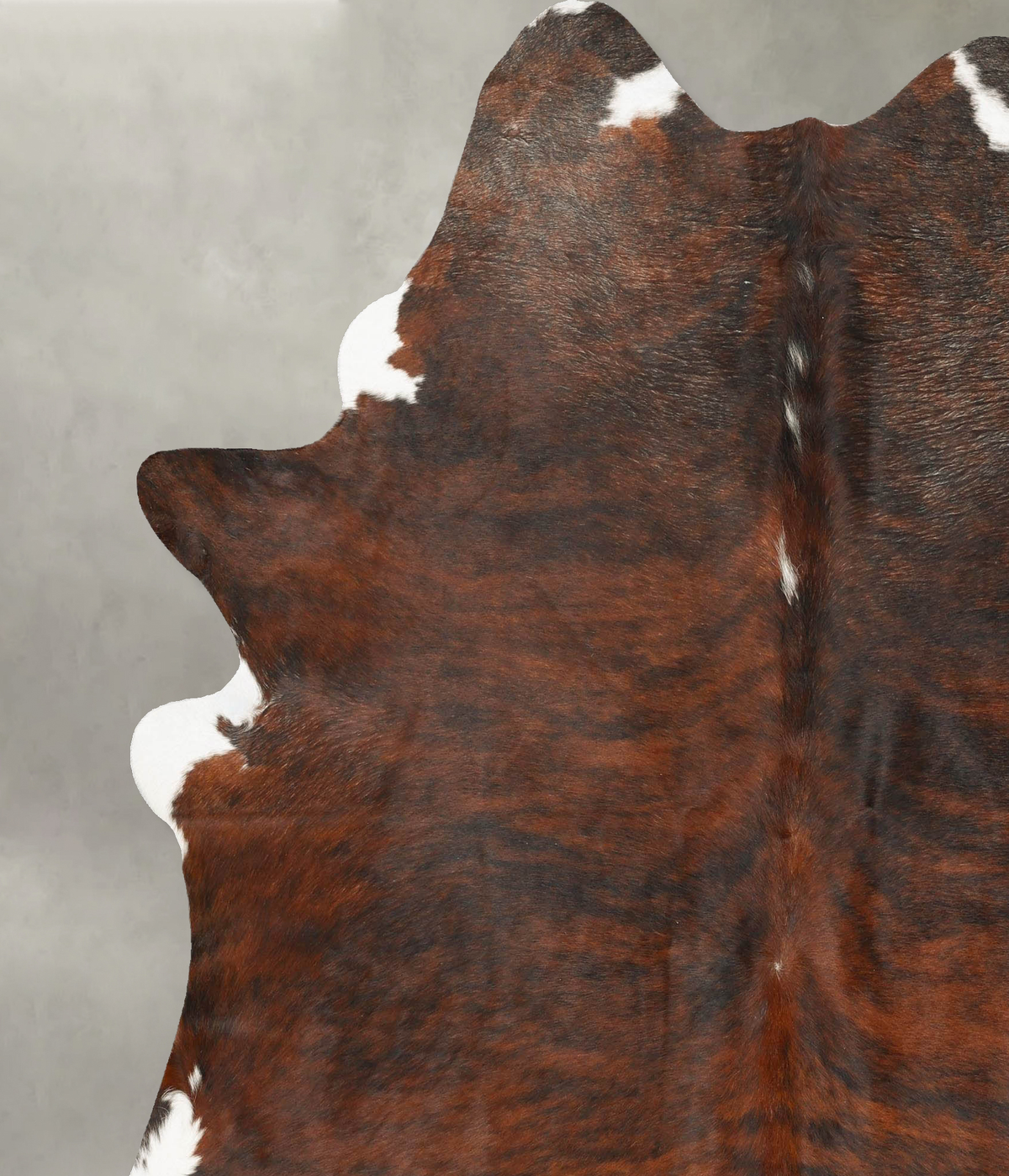 Dark Brindle XX-Large Brazilian Cowhide Rug 7'10"H x 6'7"W #B28348 by Hudson Hides