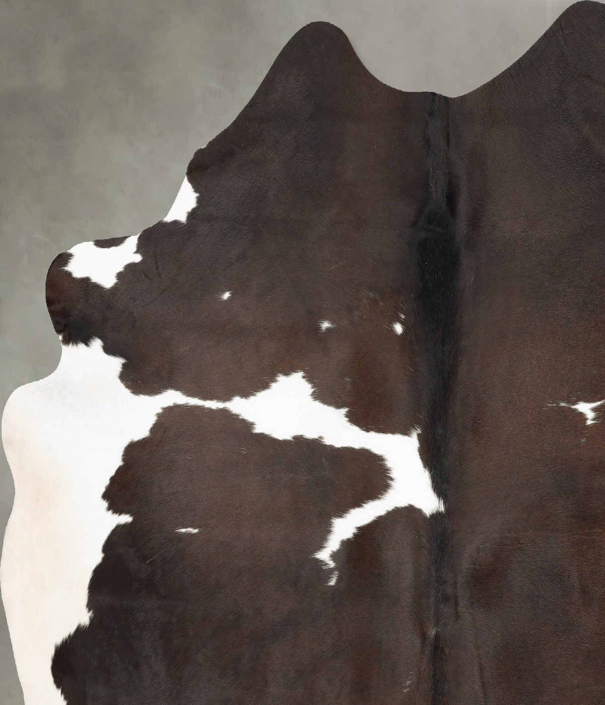 Chocolate and White XX-Large Brazilian Cowhide Rug 7'11"H x 6'6"W #B28350 by Hudson Hides