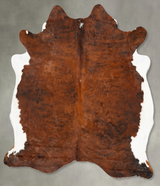 Medium Brindle X-Large Brazilian Cowhide Rug 6'10"H x 6'2"W #B28352 by Hudson Hides