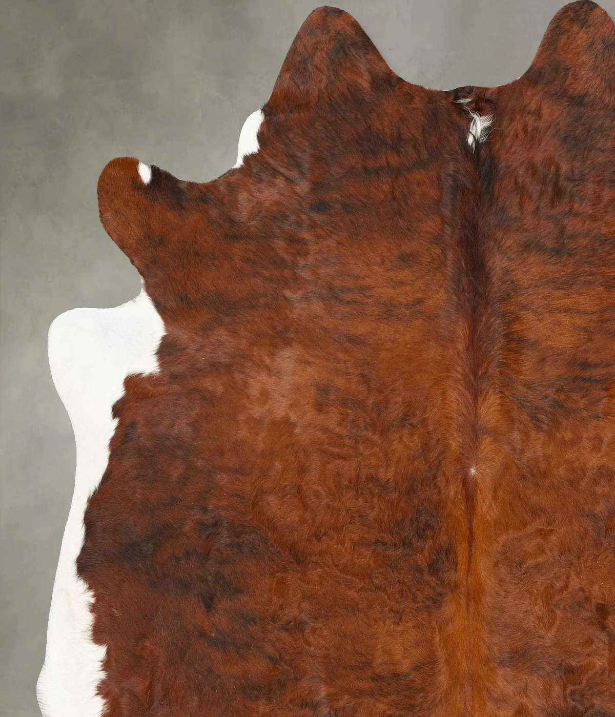 Medium Brindle X-Large Brazilian Cowhide Rug 6'10"H x 6'2"W #B28352 by Hudson Hides