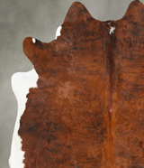 Medium Brindle X-Large Brazilian Cowhide Rug 6'10"H x 6'2"W #B28352 by Hudson Hides