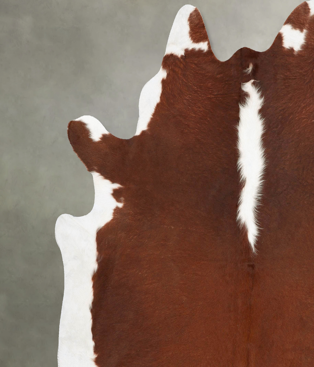 Hereford XX-Large Brazilian Cowhide Rug 7'10"H x 7'2"W #B28357 by Hudson Hides