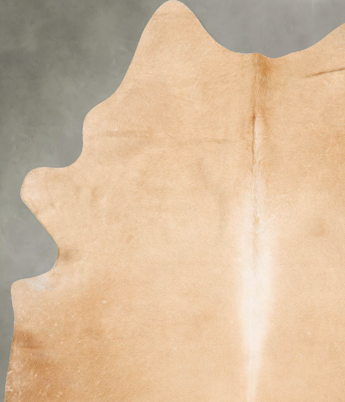 Palomino X-Large Brazilian Cowhide Rug 7'10"H x 5'11"W #B28367 by Hudson Hides