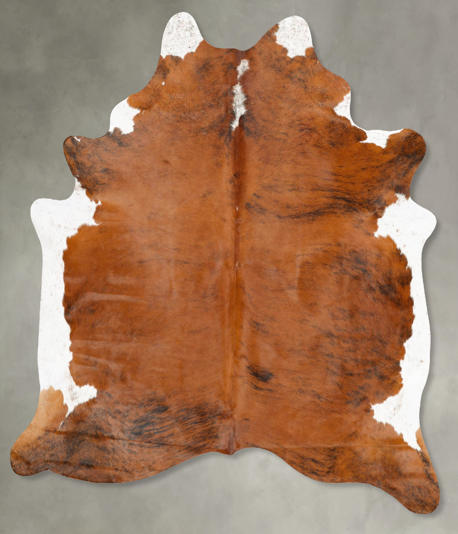 Tricolor Cowhide Rug #B28368