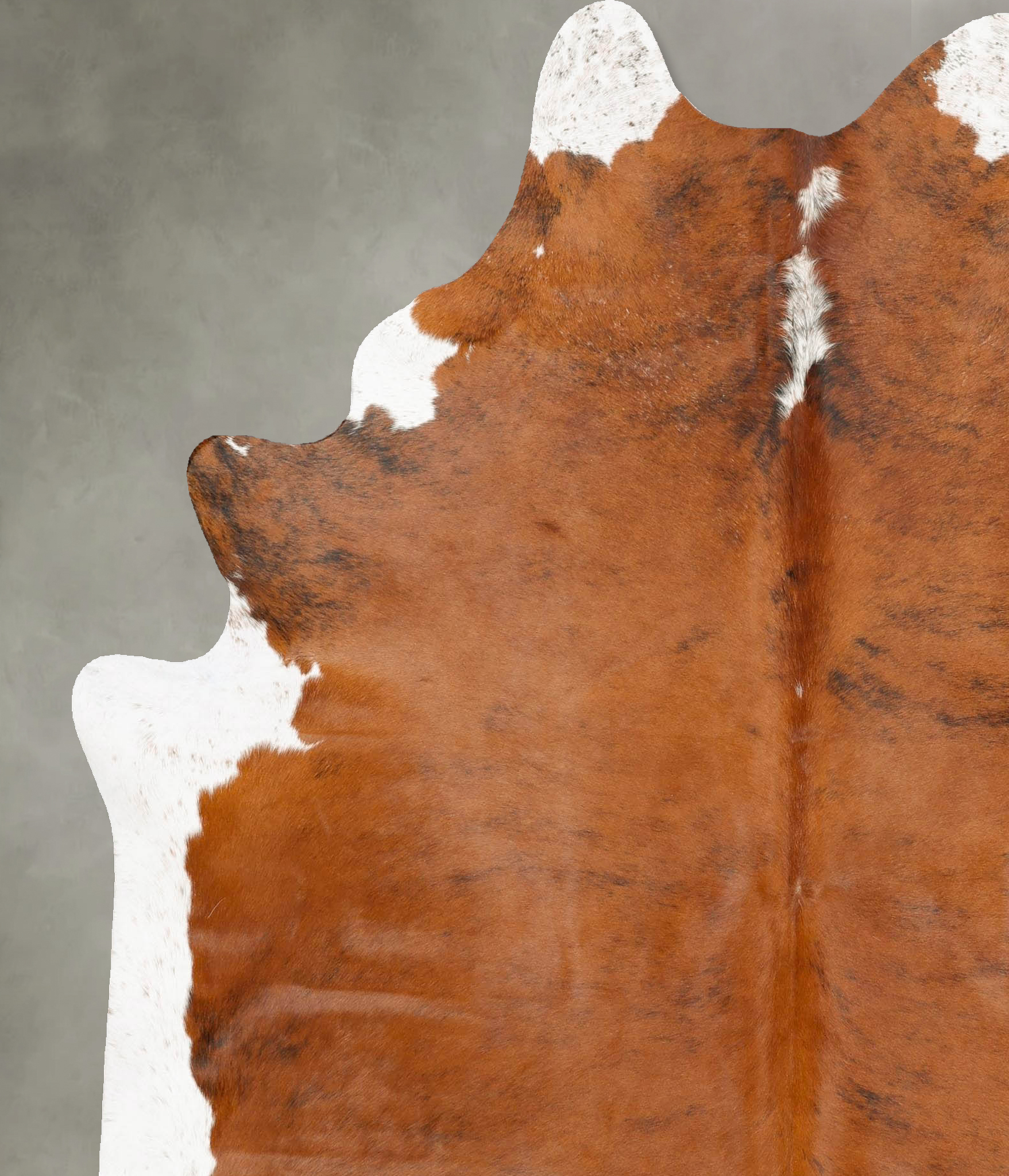 Tricolor Cowhide Rug #B28368