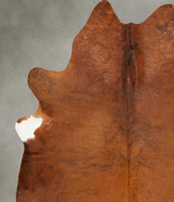 Medium Brindle XX-Large Brazilian Cowhide Rug 8'5"H x 6'11"W #B28371 by Hudson Hides