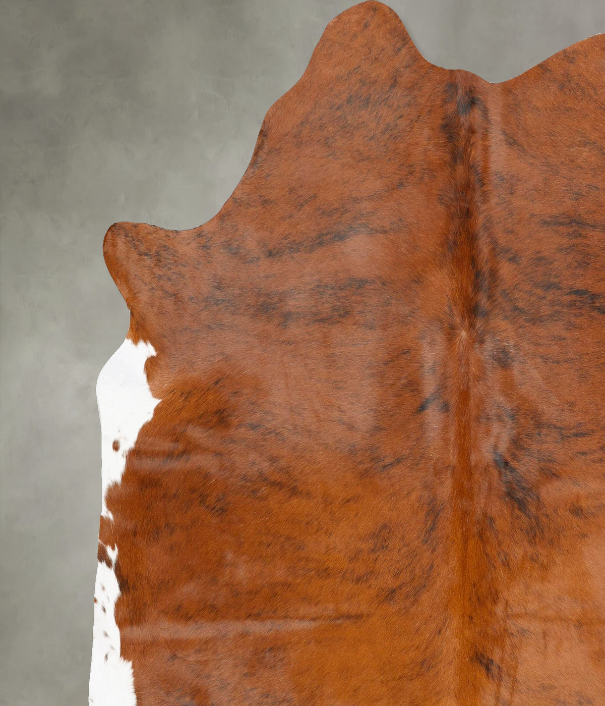 Medium Brindle XX-Large Brazilian Cowhide Rug 7'4"H x 6'10"W #B28372 by Hudson Hides