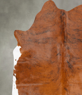 Medium Brindle XX-Large Brazilian Cowhide Rug 7'4"H x 6'10"W #B28372 by Hudson Hides