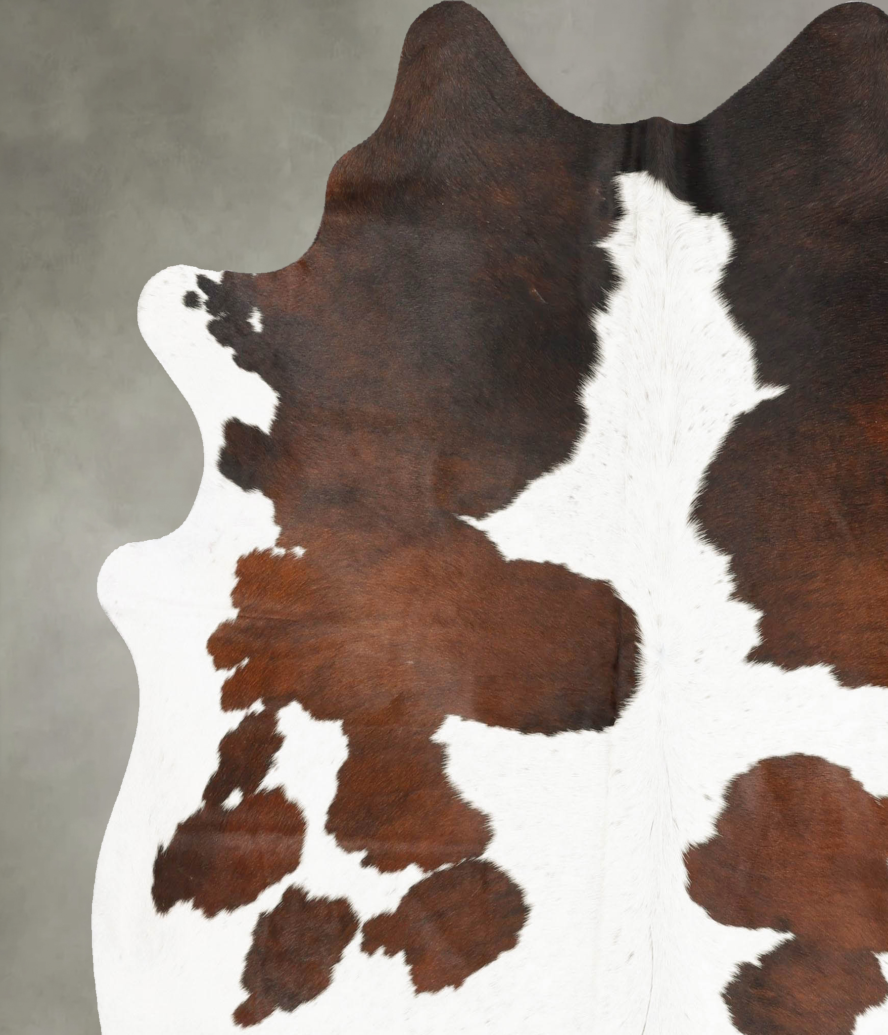 Chocolate and White Cowhide Rug #B28388