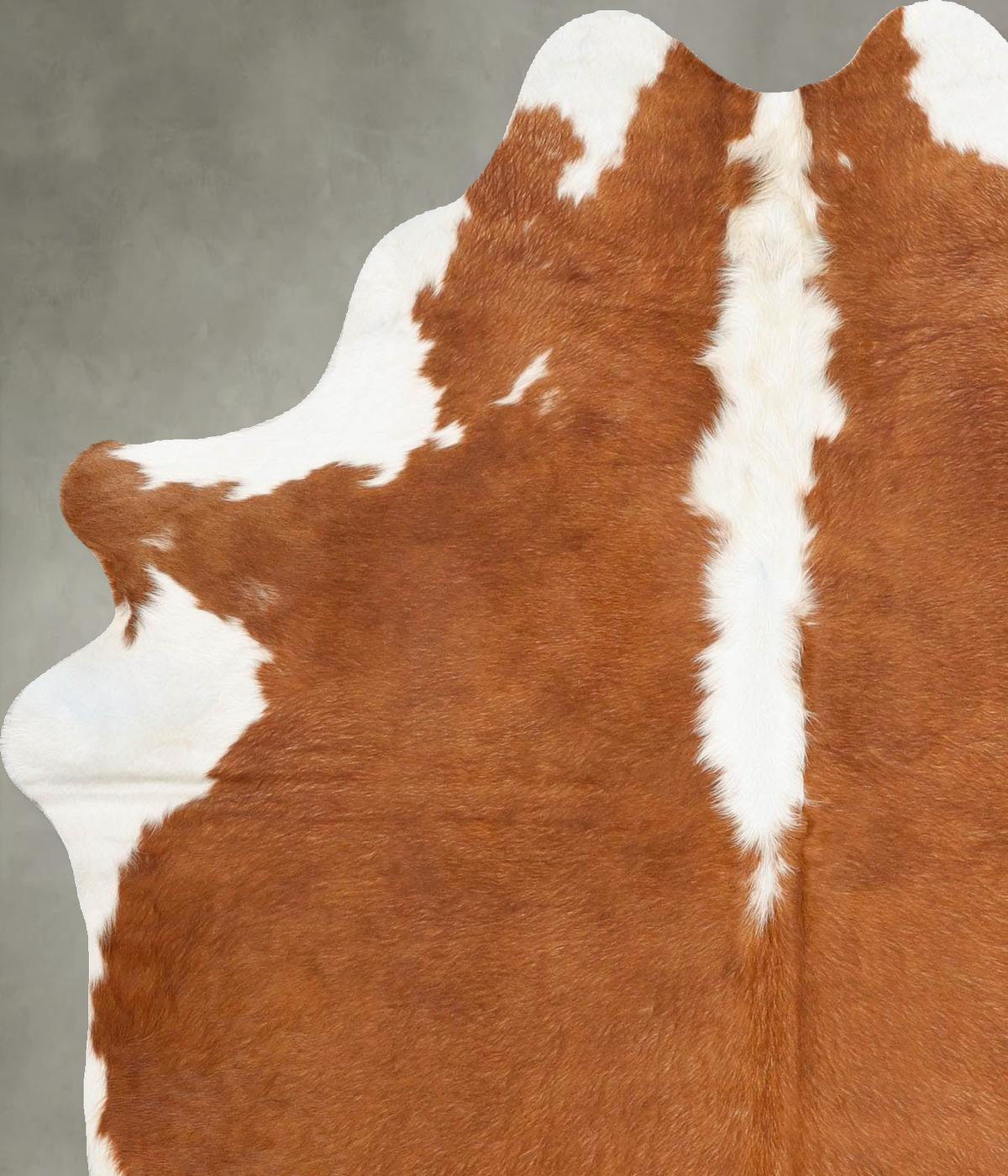 Hereford Large Brazilian Cowhide Rug 6'8"H x 5'1"W #B28403 by Hudson Hides