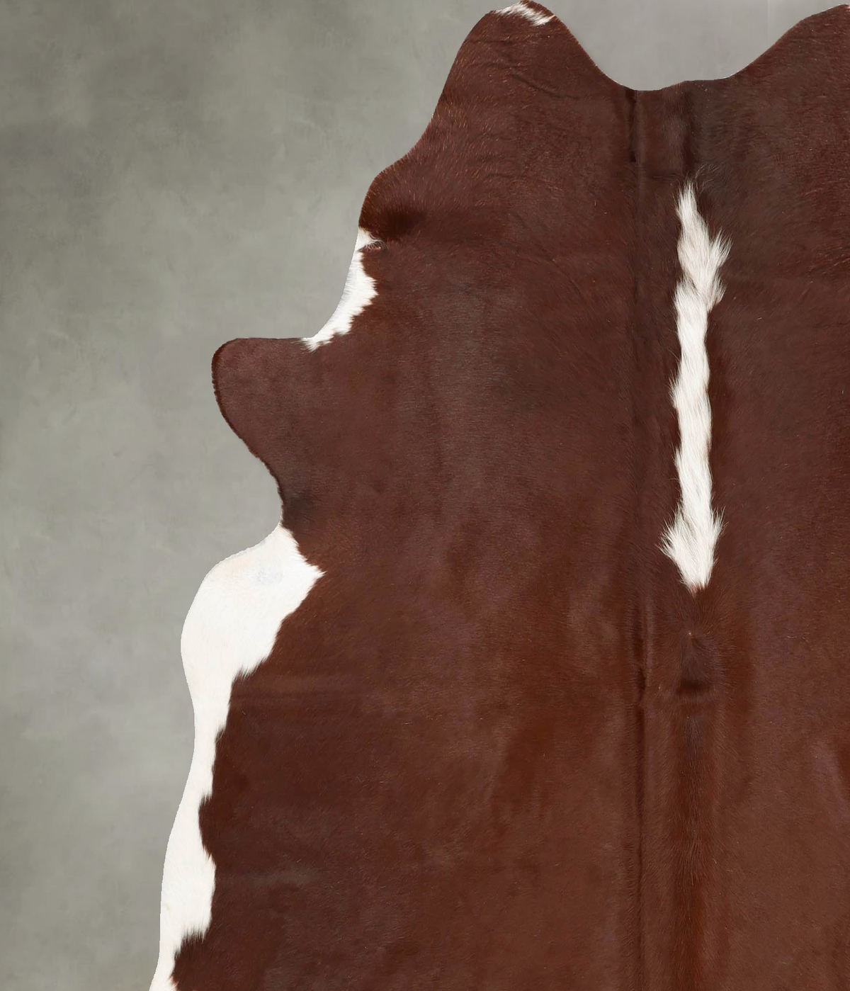 Hereford X-Large Brazilian Cowhide Rug 6'11"H x 6'6"W #B28405 by Hudson Hides