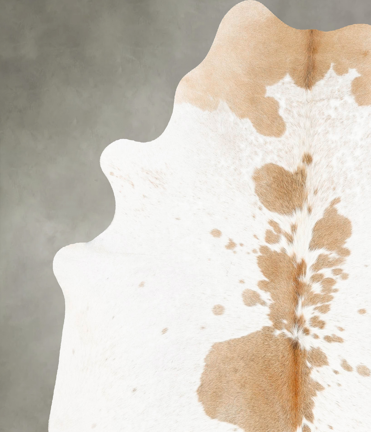 Beige and White X-Large Brazilian Cowhide Rug 7'3"H x 6'4"W #B28420 by Hudson Hides