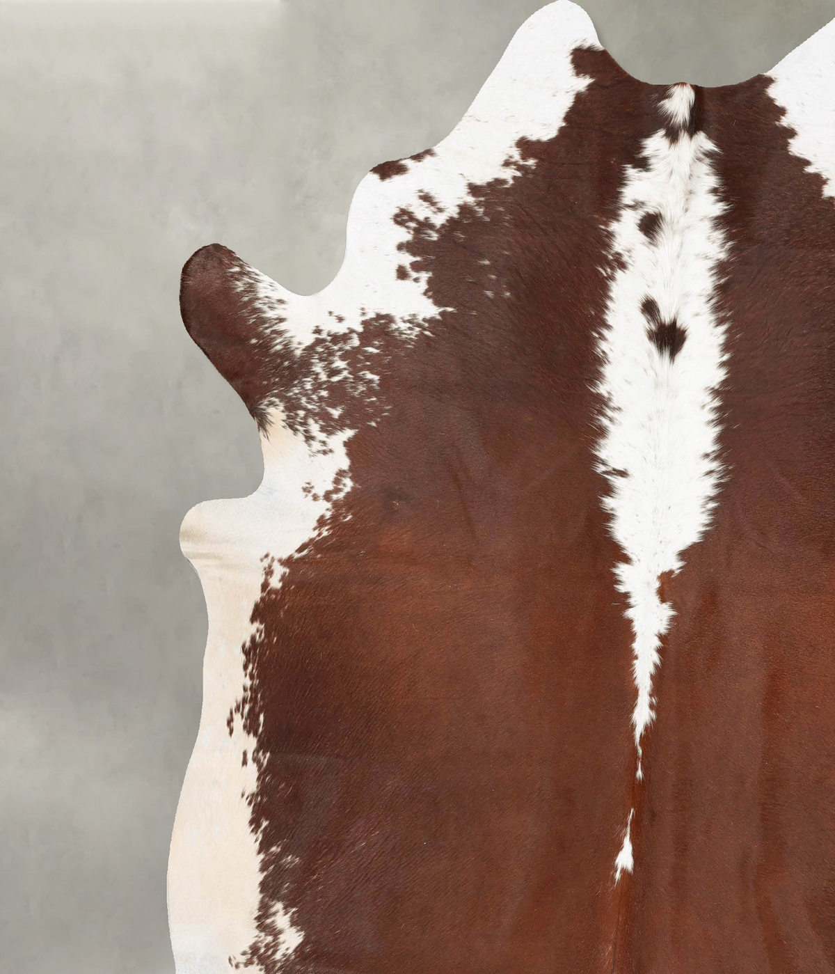 Hereford XX-Large Brazilian Cowhide Rug 7'8"H x 7'0"W #B28421 by Hudson Hides