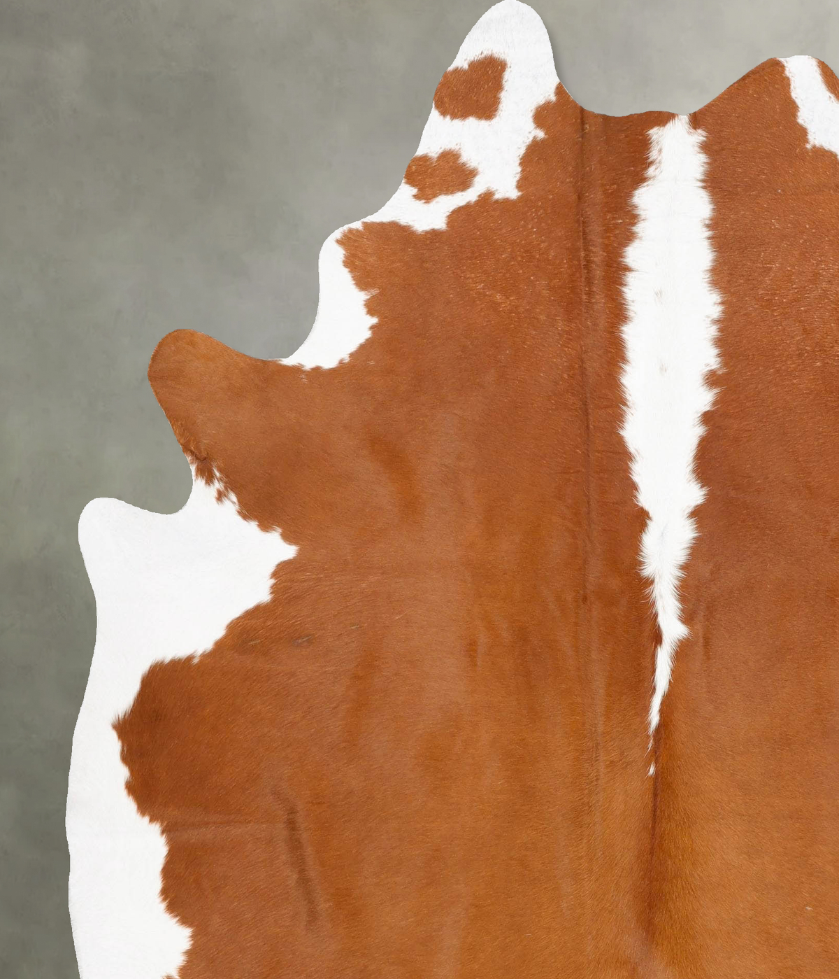 Hereford X-Large Brazilian Cowhide Rug 7'9"H x 6'4"W #B28423 by Hudson Hides