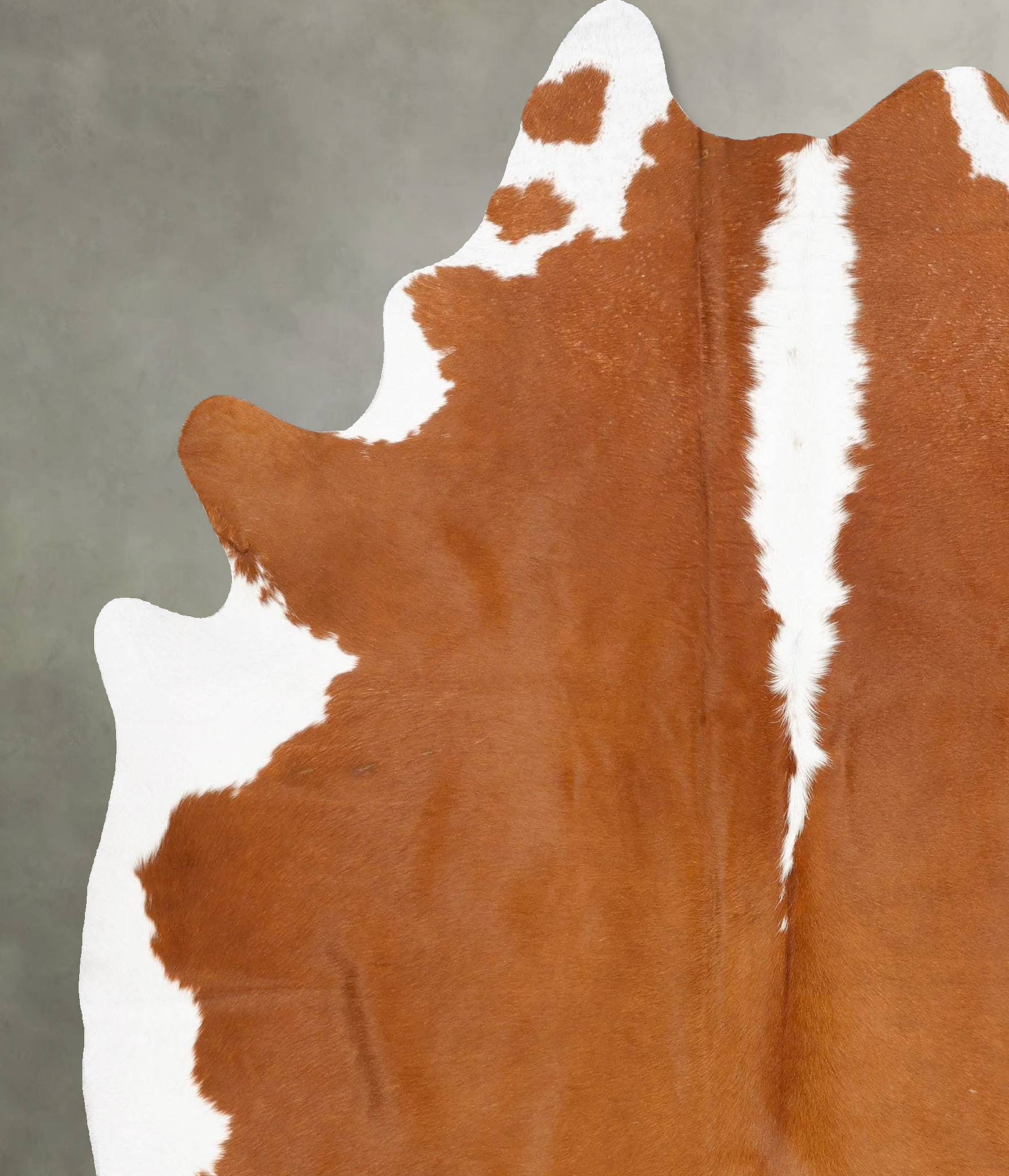 Hereford Cowhide Rug #B28423