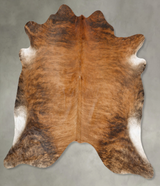 Medium Brindle XX-Large Brazilian Cowhide Rug 7'6"H x 7'10"W #B28431 by Hudson Hides