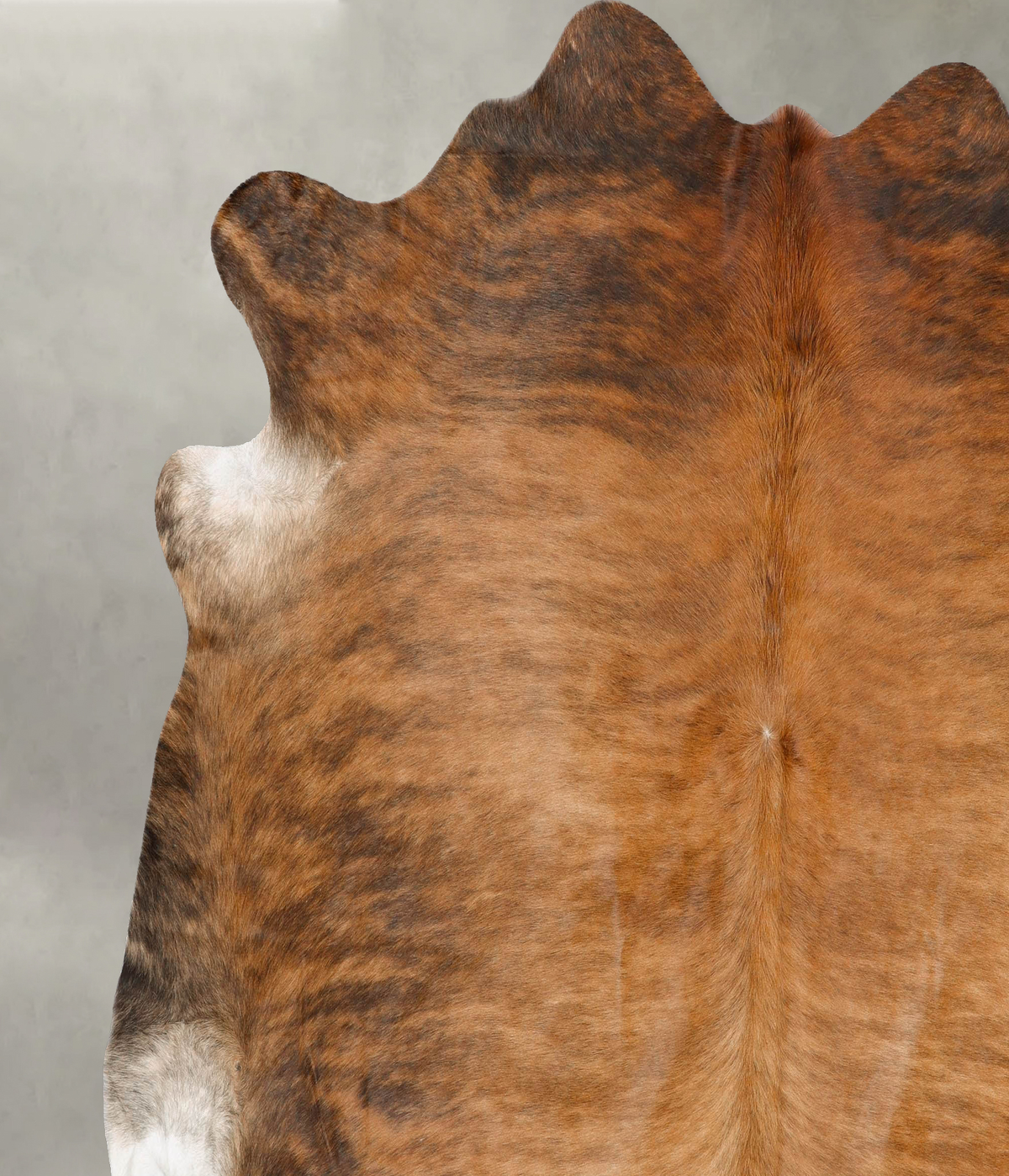 Medium Brindle XX-Large Brazilian Cowhide Rug 7'6"H x 7'10"W #B28431 by Hudson Hides