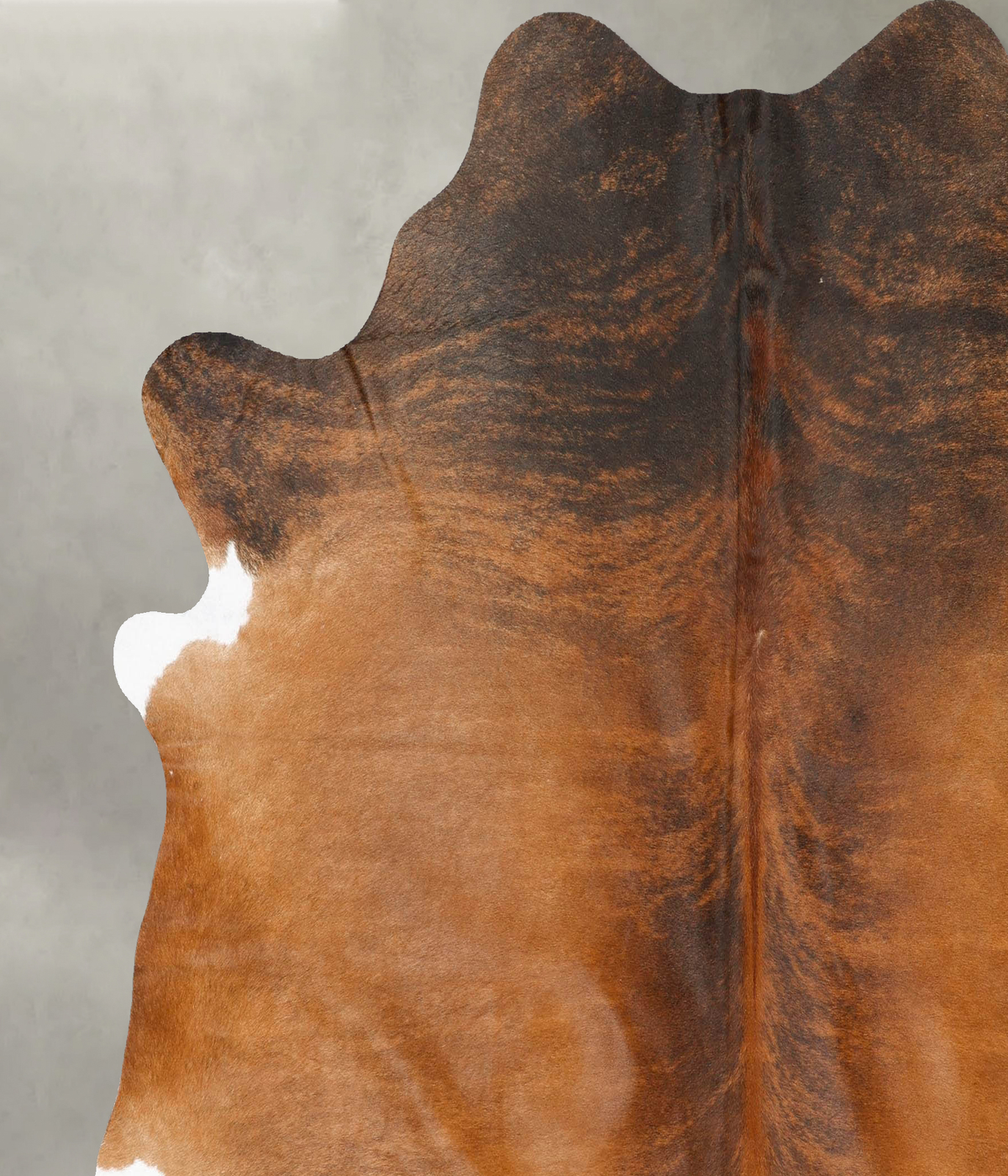 Medium Brindle XX-Large Brazilian Cowhide Rug 7'1"H x 7'1"W #B28434 by Hudson Hides