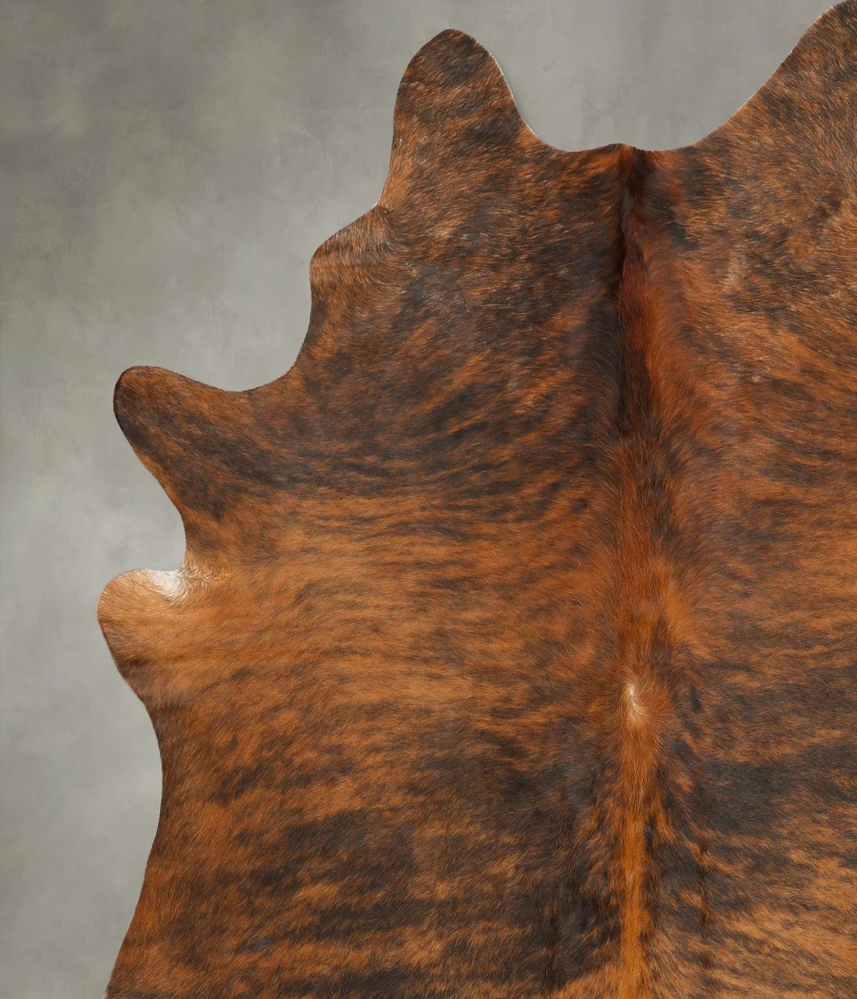 Medium Brindle XX-Large Brazilian Cowhide Rug 7'11"H x 6'6"W #B28448 by Hudson Hides
