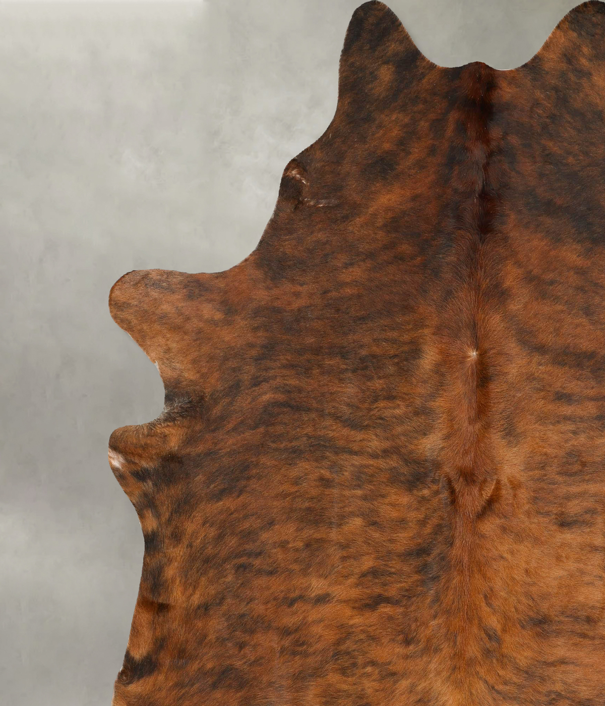 Medium Brindle XX-Large Brazilian Cowhide Rug 7'10"H x 6'8"W #B28449 by Hudson Hides