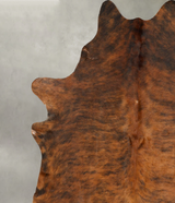 Medium Brindle XX-Large Brazilian Cowhide Rug 7'10"H x 6'8"W #B28449 by Hudson Hides