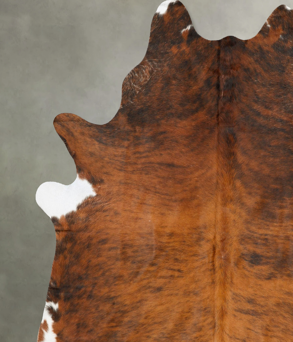 Medium Brindle XX-Large Brazilian Cowhide Rug 8'11"H x 7'0"W #B28450 by Hudson Hides