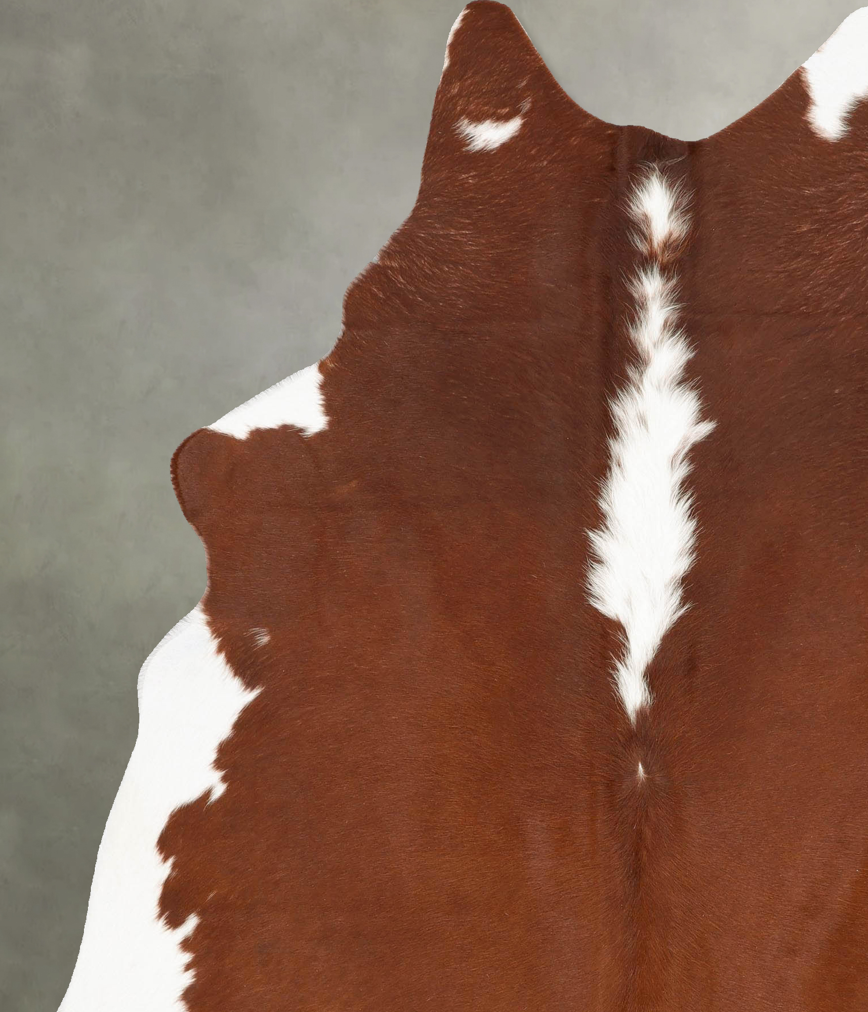 Hereford Cowhide Rug #B28461