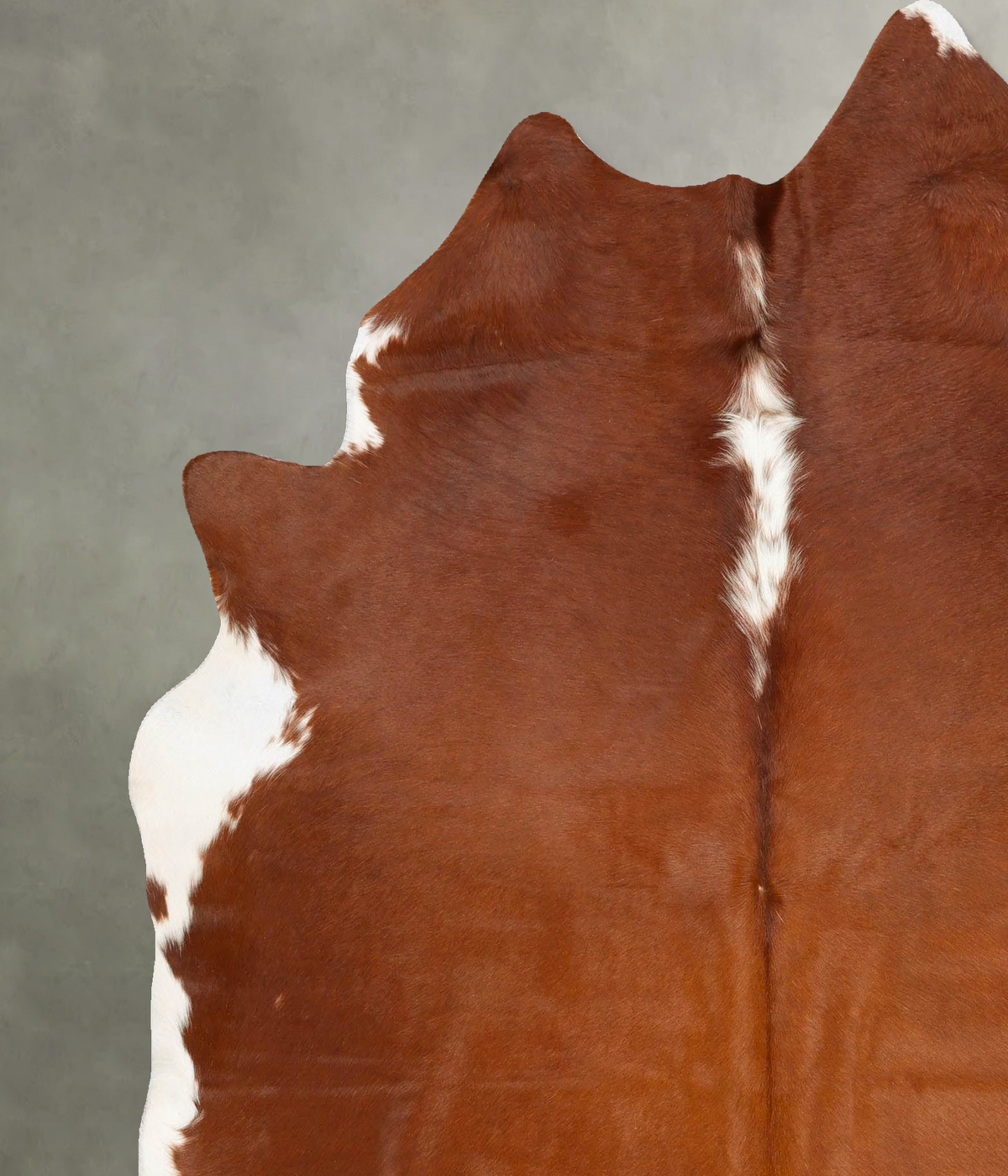 Hereford X-Large Brazilian Cowhide Rug 7'4"H x 6'2"W #B28463 by Hudson Hides