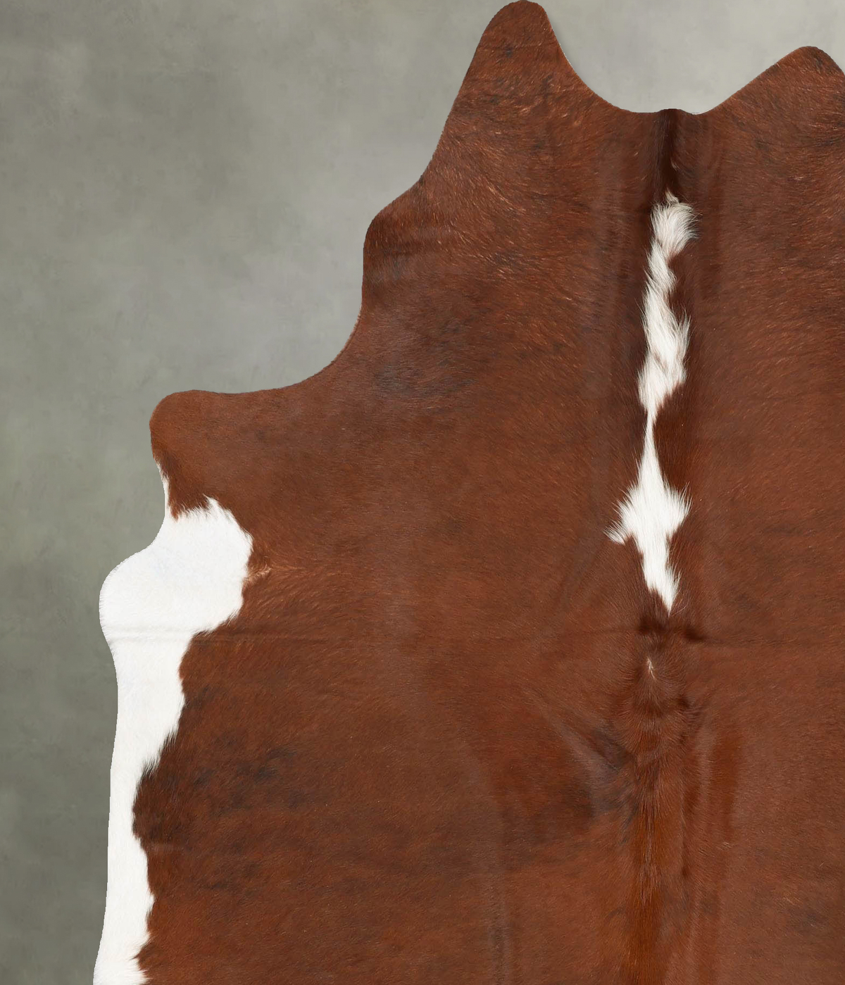 Hereford X-Large Brazilian Cowhide Rug 7'3"H x 6'1"W #B28465 by Hudson Hides