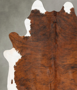 Medium Brindle XX-Large Brazilian Cowhide Rug 8'7"H x 7'5"W #B28474 by Hudson Hides