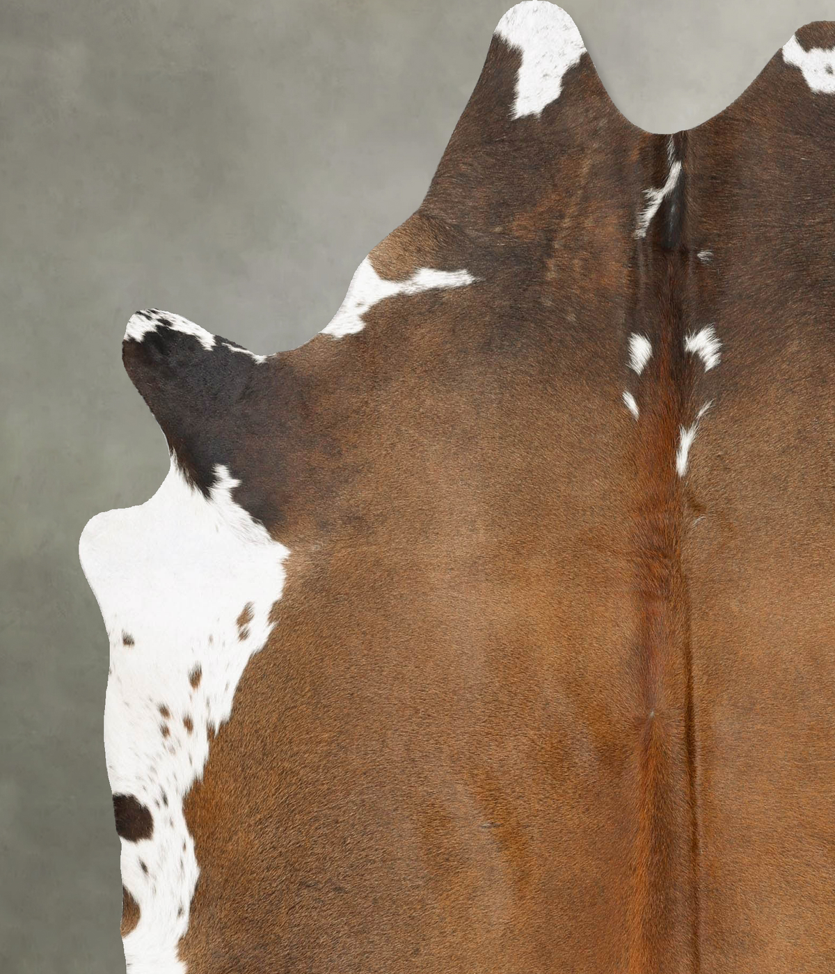 Chocolate and White X-Large Brazilian Cowhide Rug 6'7"H x 6'1"W #B28480 by Hudson Hides