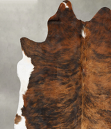 Medium Brindle XX-Large Brazilian Cowhide Rug 8'1"H x 6'11"W #B28491 by Hudson Hides