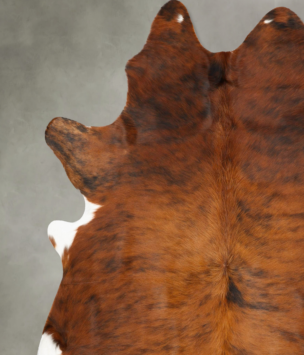 Medium Brindle XX-Large Brazilian Cowhide Rug 8'0"H x 6'10"W #B28500 by Hudson Hides