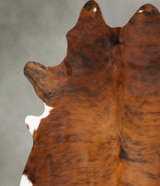 Medium Brindle XX-Large Brazilian Cowhide Rug 8'0"H x 6'10"W #B28500 by Hudson Hides