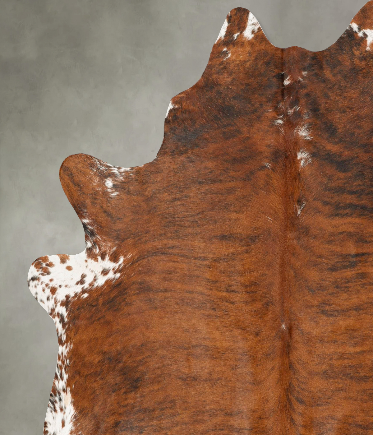 Medium Brindle XX-Large Brazilian Cowhide Rug 7'10"H x 6'8"W #B28509 by Hudson Hides