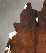 Medium Brindle XX-Large Brazilian Cowhide Rug 7'11"H x 6'8"W #B28510 by Hudson Hides