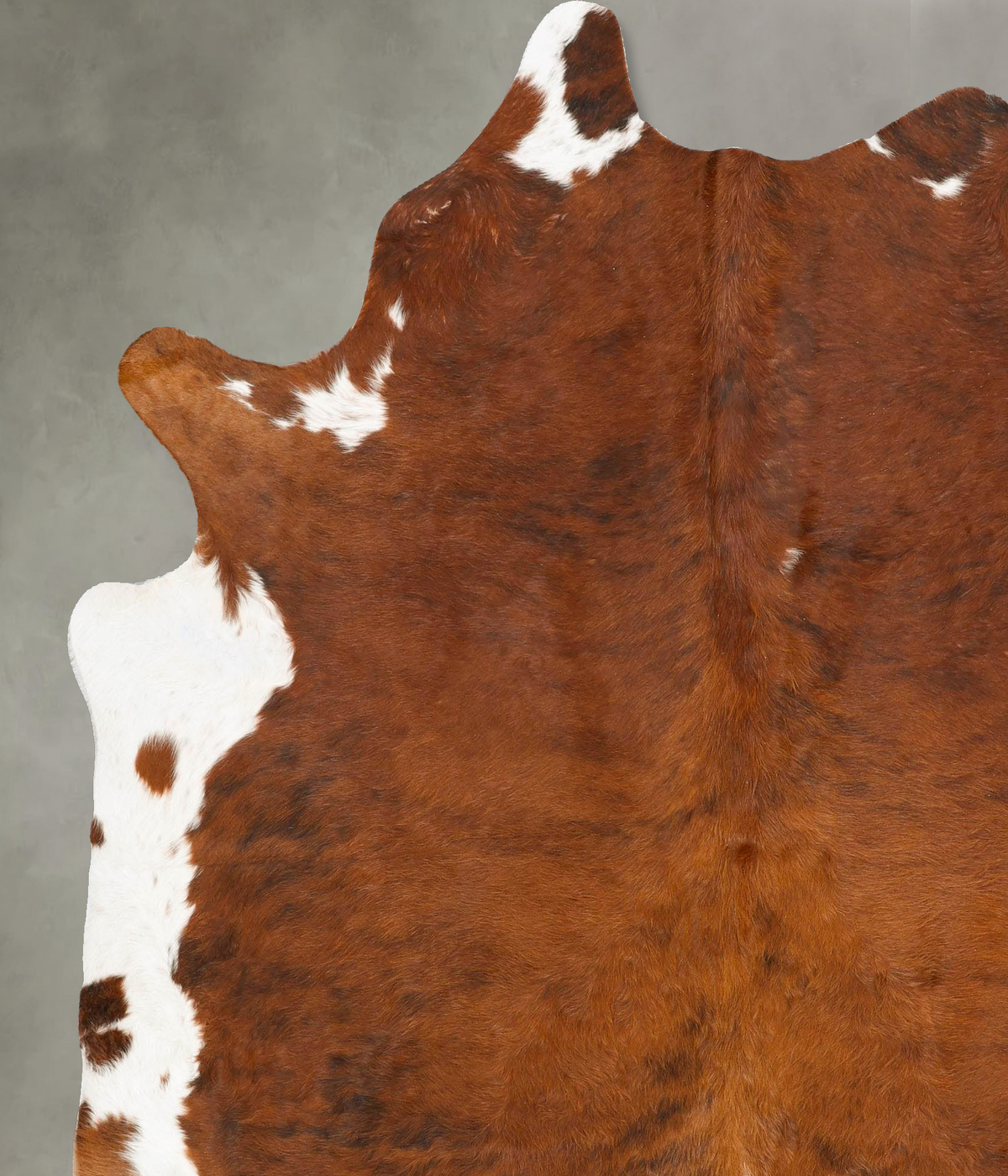 Medium Brindle XX-Large Brazilian Cowhide Rug 7'10"H x 6'7"W #B28520 by Hudson Hides