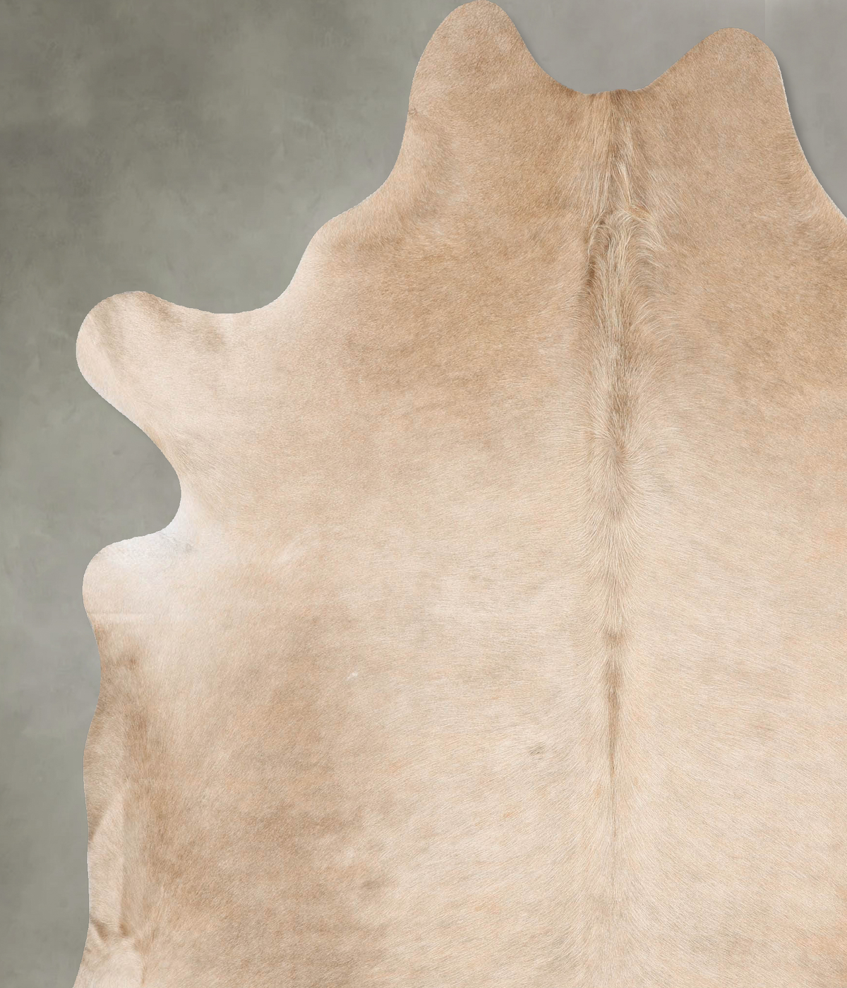 Champagne XX-Large Brazilian Cowhide Rug 8'0"H x 6'9"W #B28526 by Hudson Hides