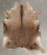 Champagne XX-Large Brazilian Cowhide Rug 7'10"H x 7'4"W #B28528 by Hudson Hides