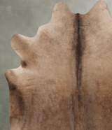 Champagne XX-Large Brazilian Cowhide Rug 7'10"H x 7'4"W #B28528 by Hudson Hides