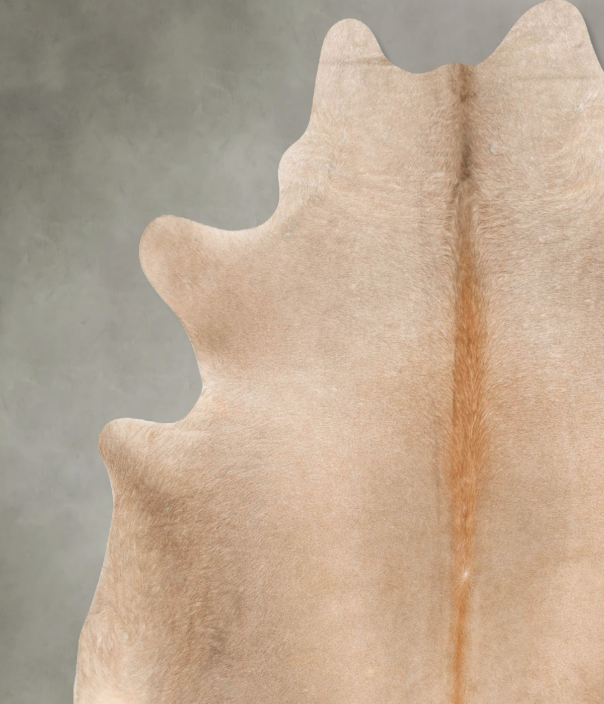 Champagne Cowhide Rug #B28530