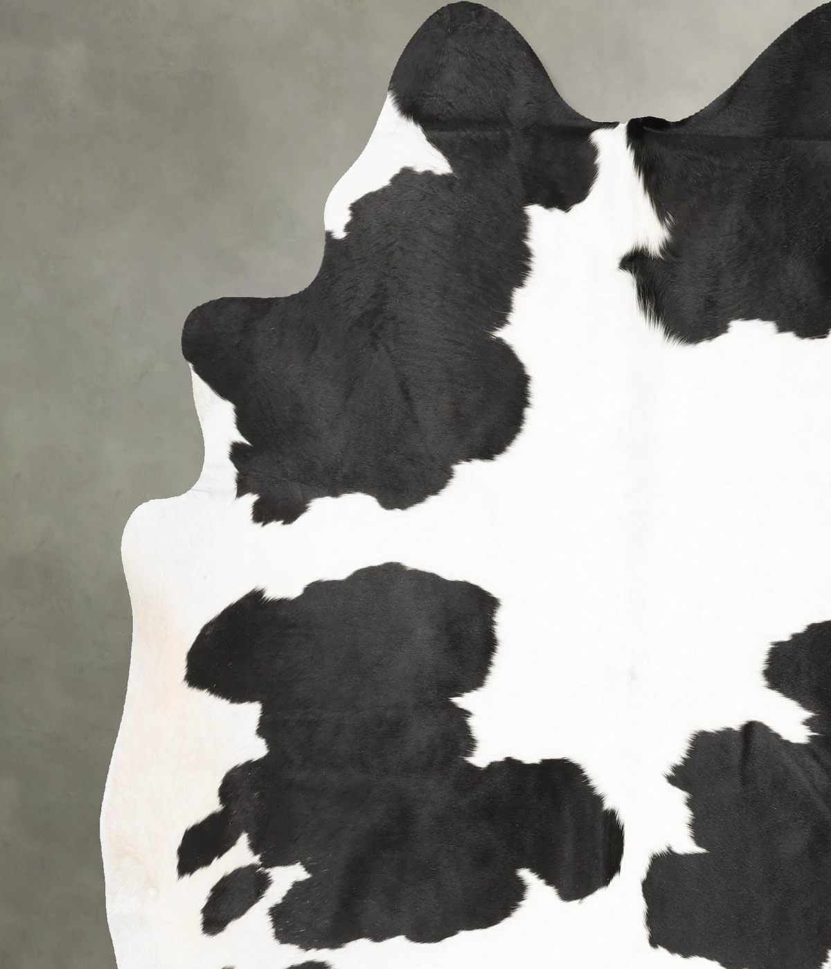 Black and White X-Large Brazilian Cowhide Rug 7'5"H x 6'8"W #B28533 by Hudson Hides