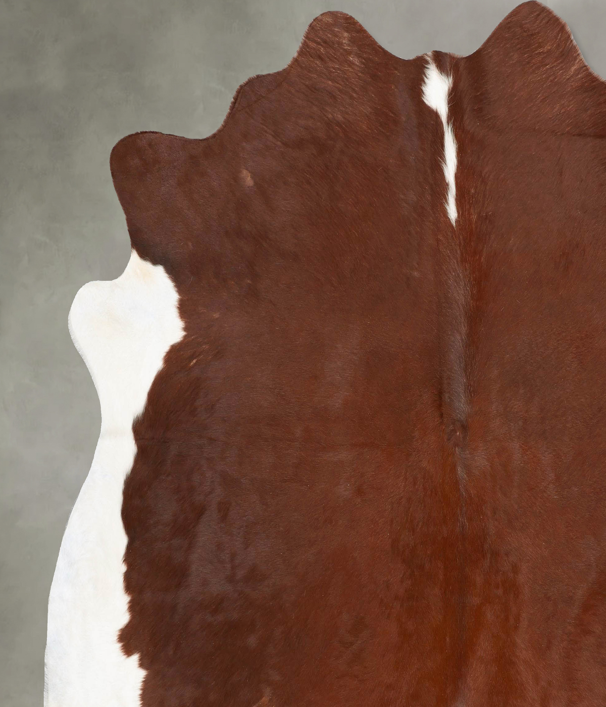Brown and White Regular XX-Large Brazilian Cowhide Rug 7'6"H x 7'8"W #B28535 by Hudson Hides