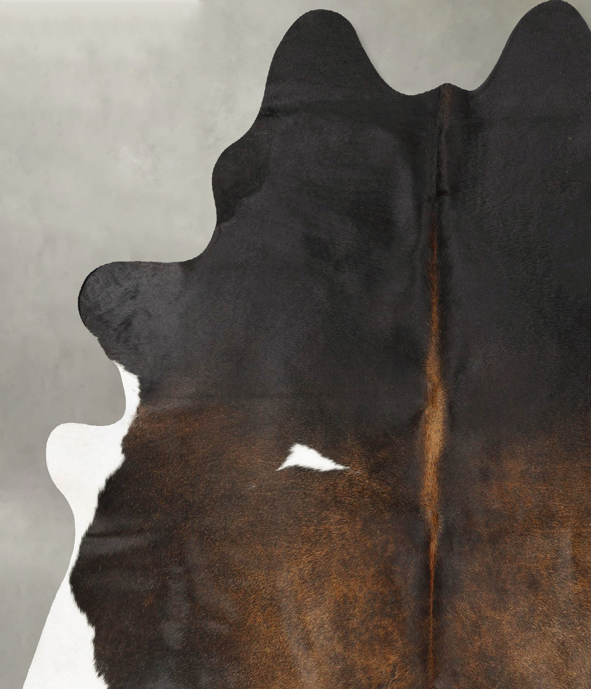 Chocolate and White X-Large Brazilian Cowhide Rug 7'8"H x 6'5"W #B28537 by Hudson Hides