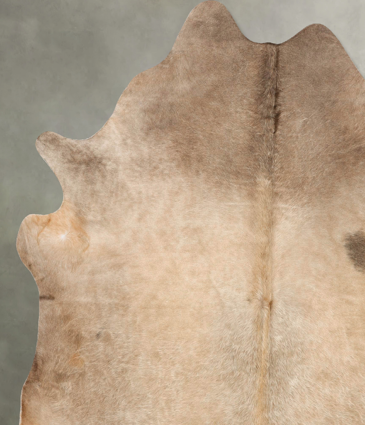 Champagne XX-Large Brazilian Cowhide Rug 7'11"H x 6'9"W #B28552 by Hudson Hides