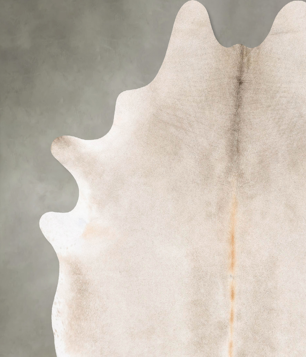 Champagne XX-Large Brazilian Cowhide Rug 8'7"H x 7'4"W #B28555 by Hudson Hides