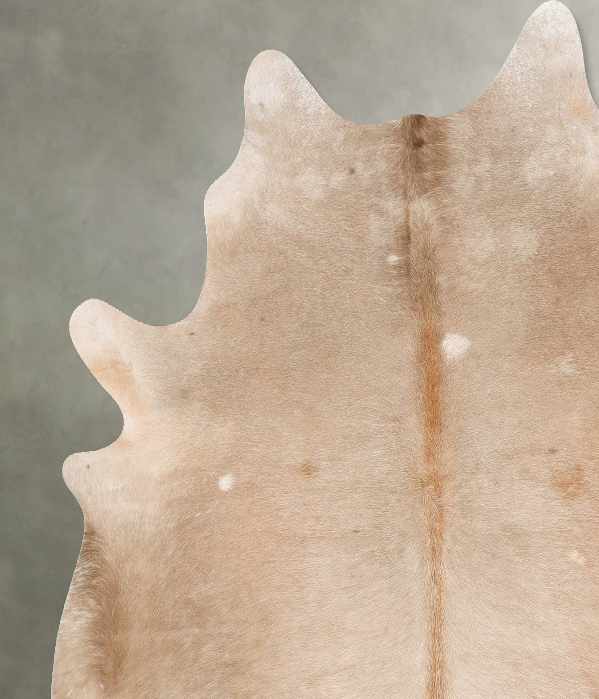 Champagne XX-Large Brazilian Cowhide Rug 7'7"H x 6'10"W #B28556 by Hudson Hides